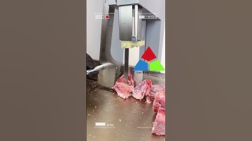 Máy cưa xương cắt thịt đông lạnh đa năng YF-210A. LH 0968637088