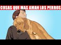 9 Cosas que mas Ama tu Perro