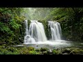 Soothing relaxation 2026 | Piano music | Calming relaxation | Anxiety relief | Relaxing