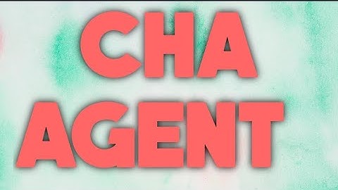 Export Custom house agent procedure work by Exim mantra