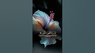 الآية الكريمة:"وَقَالُوا الْحَمْدُ لِلَّهِ الَّذِي أَذْهَبَ عَنَّا الْحَزَنَ ۖ إِ(سورة فاطر،