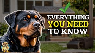 Owning a Rottweiler: What They DON'T Tell You Before Getting One
