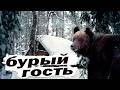 🐻 /НЕСЛУЧАЙНЫЕ ВСТРЕЧИ с ТАЕЖНЫМ ХОЗЯИНОМ/