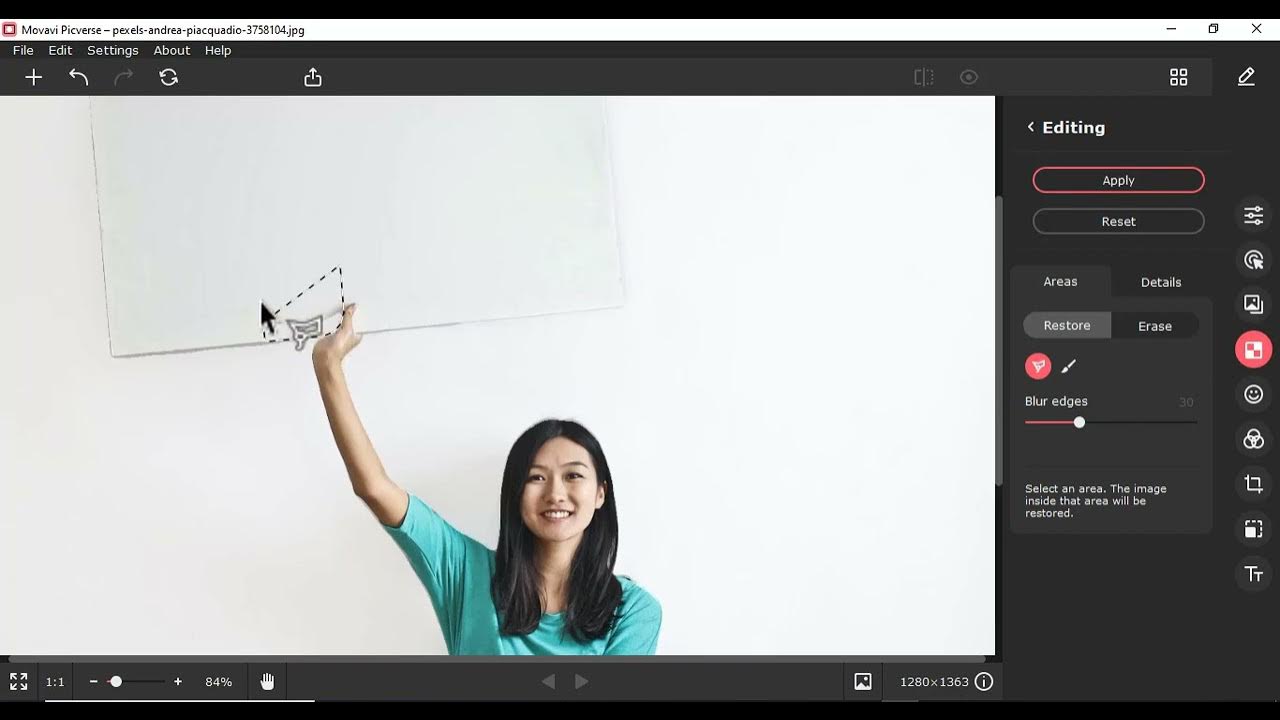 Movavi Photo Editor Tutorial Replace background with another picture