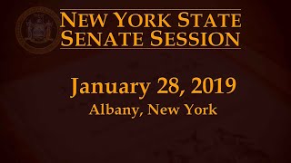 New York State Senate Session - 01/28/19