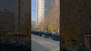 новые баки для мусора в Алматы #walkingtour