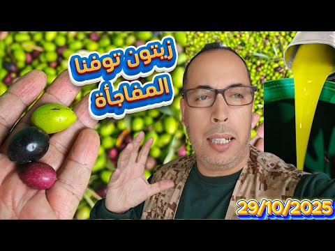 جديد زيت الزيتون للجميع من معصرة أيوب العصرية أدوز فم العنصر بني ملال 29 10 2025 اكسبلور