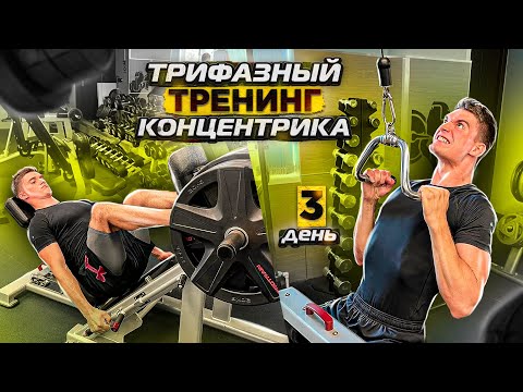 Увеличение вертикального прыжка. Трифазный тренинг. Концентрика. День 3