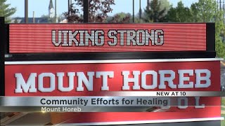 'We really care about each other': Mount Horeb businesses rally support for students