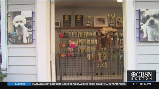 Decision To Open Golf Courses Upsets Other Mass. Business Owners