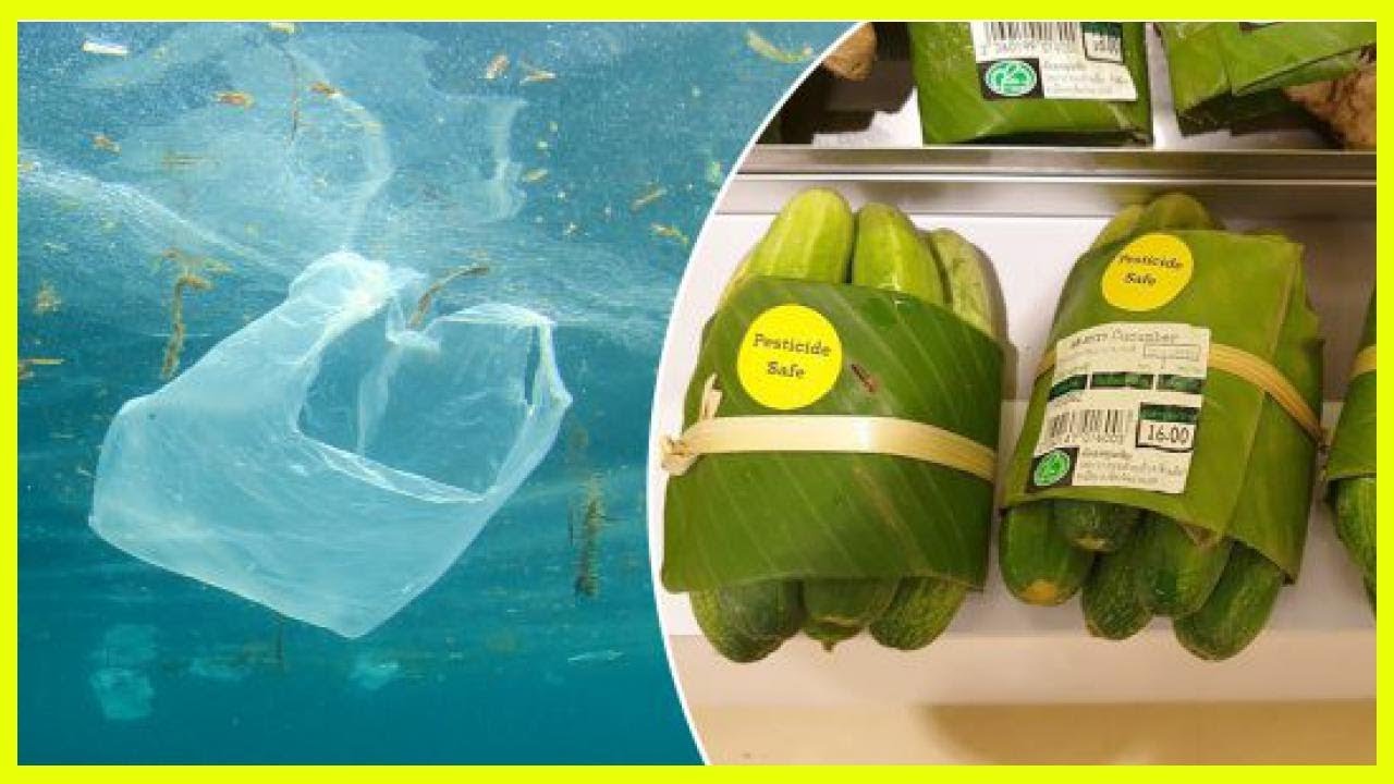 Use Banana leaves as natural packaging to reduce plastic use