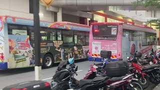 rapidPenang Bus with 4-year-old advertisement