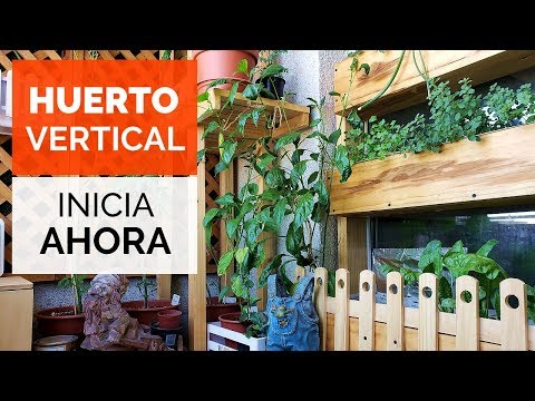 Video: Ideas de jardín con balcón vertical: cómo crecer verticalmente en un balcón