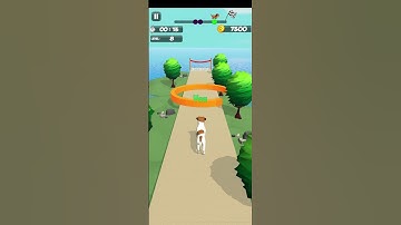 Dog Run3D Fun Race!🐕🥰🐕 Gameplay😊🎮🎮 part1 All levels Run game🐕 in (Android)