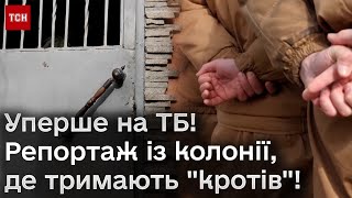 ⚡ Уперше на ТБ! Тут утримують 