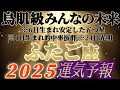 個人鑑定級【双子座♊】みんなの生まれ日占うよ!2025年運気予報 ※いや〜なんかね、人生色々だね感激しちゃったよ〜 【タロット占い、オラクル占い】