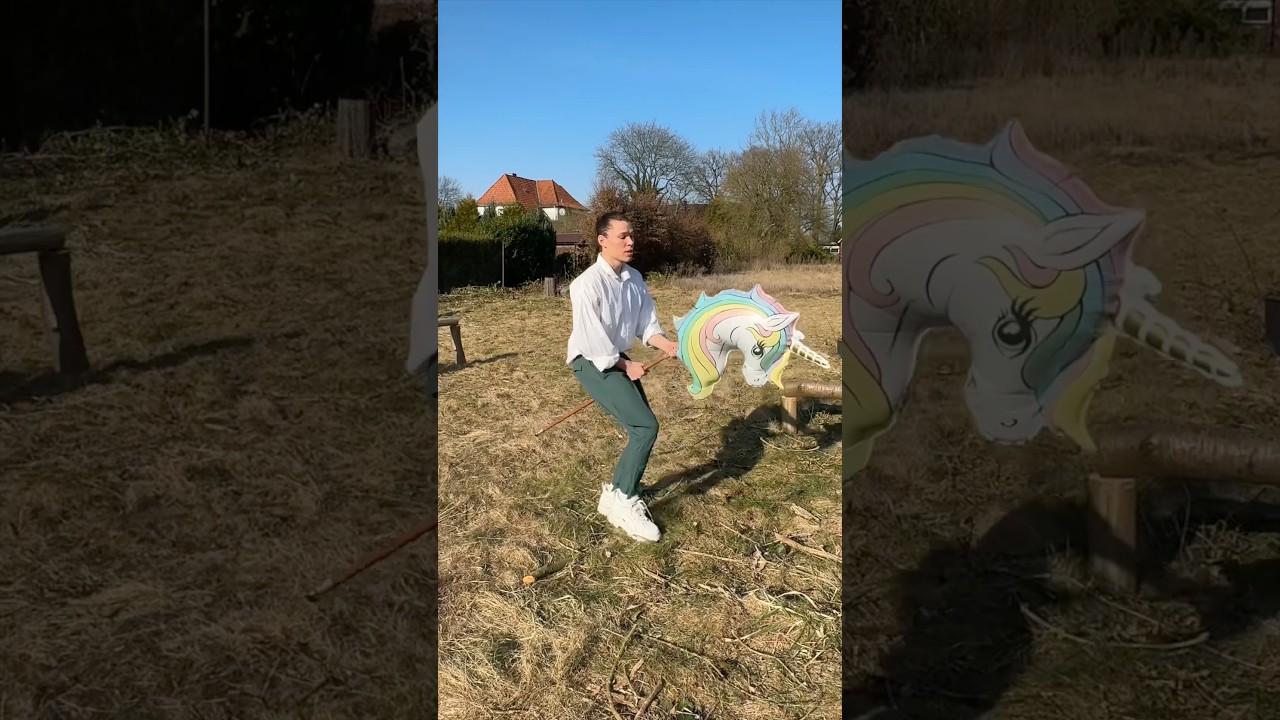 Eigenwerbung | Bock auf Hobby Horsing bei meiner Live Tour?🦄 