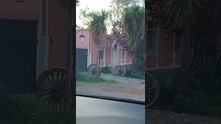 Perdriel Este, Luján de Cuyo, Mendoza #argentina #mendoza #turismo #lujandecuyo