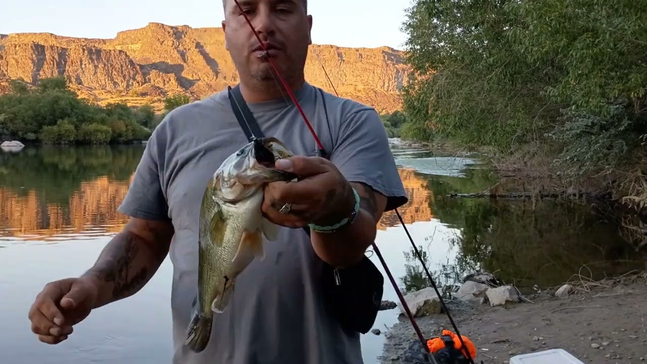 The Snake River has Big Fish! #idahofishing #bassfishing #snakeriver #fish #idahosprings