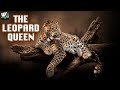 तेंदुए की रानी - The Leopard Queen - Wildlife Documentary in Hindi language - World Documentary HD