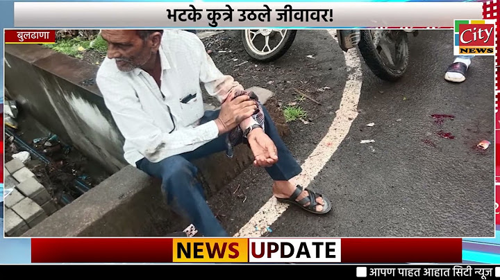 भटके कुत्रे उठले जीवावर! - शहरात ११ जणांना श्वानदंश! -नागरिक भयभीत!