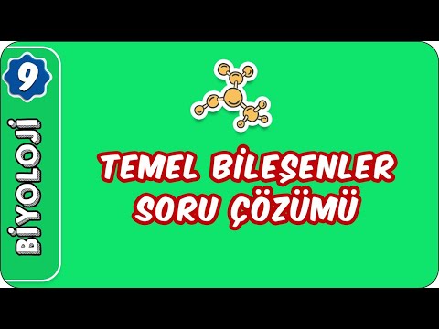 Temel Bileşenler Soru Çözümü | 9.Sınıf Biyoloji