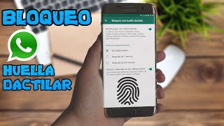 Activa EL BLOQUEO Con HUELLA DACTILAR En WHATSAPP | Adhex