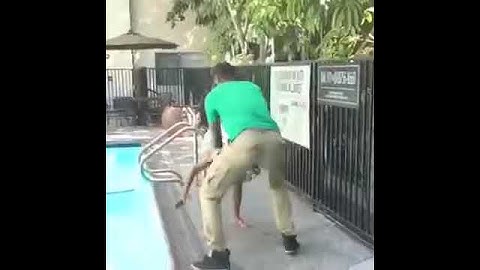 Girl Shocked Boy Rocked