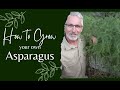 How to Grow Asparagus