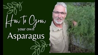 How to Grow Asparagus