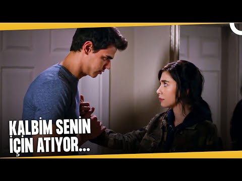 Ali'nin, Yaprak'a Duyduğu Gizli Aşk | 4N1K