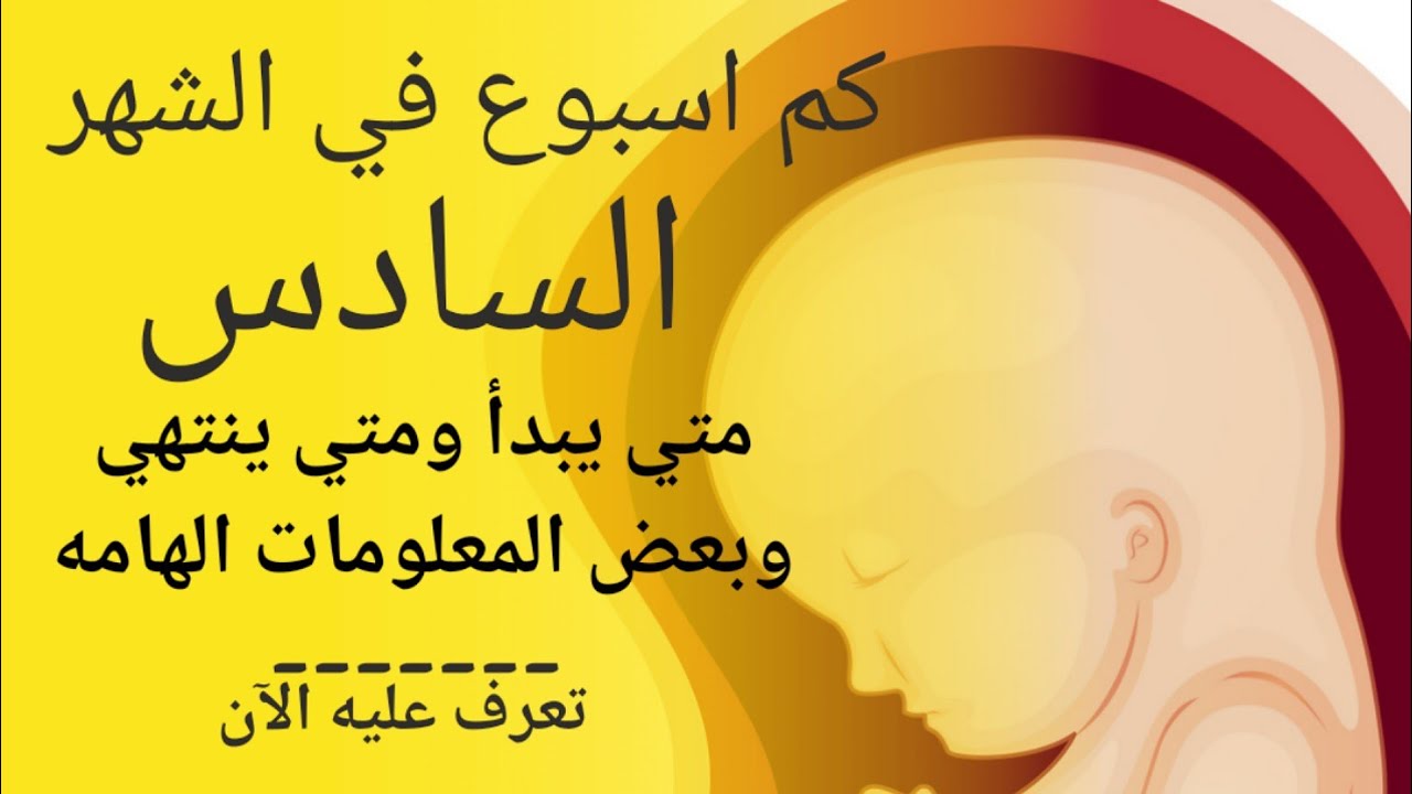 الشهر السادس من الحمل كم أسبوع | في اي اسبوع يبدا الشهر السادس ومتي