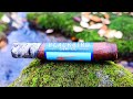 Blackbird Finch Sumatra Robusto| Zigarren Review
