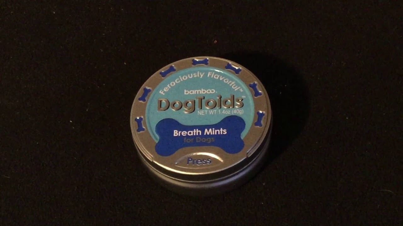 Introducing the Cornpuppy