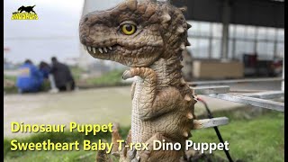 Sweetheart Baby T-Rex Dino Puppet Dinosaur Puppet