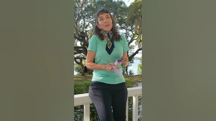 Linda Commito: What do you do to get your day off ...