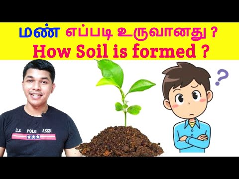 மண் எப்படி உருவானது ? How soil is formed ? Layers of Soil TAMIL SOLVER