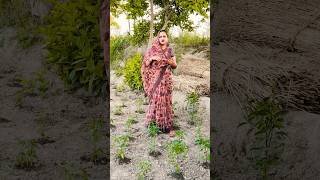 Narayan sakar Hari bhajan ||मैंने तुमसे लगाई प्रभु जी लगन#bhaktisong #bhajans #popularsong