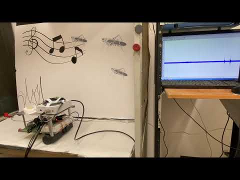 הרובוט הביו-היברידי מאזין לכם