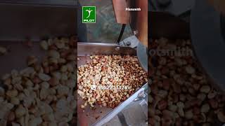 Peanut Butter making in Colloid Mill