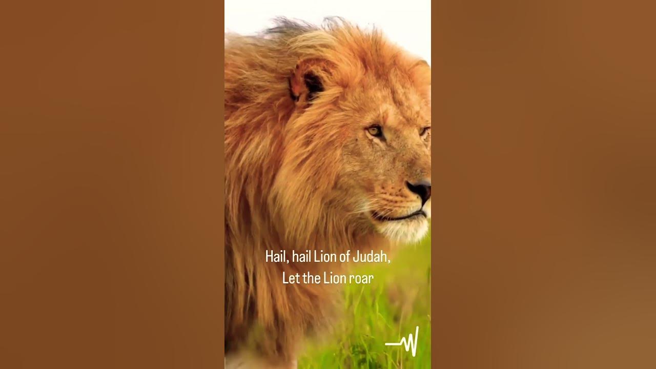 Hail Hail LION OF JUDAH Let Him Roar worship shorts YouTube hail-hail-lion-of-judah-let-him-roar-worship-shorts-youtube
