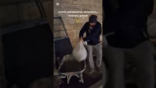 28 декабря 2025 г.
