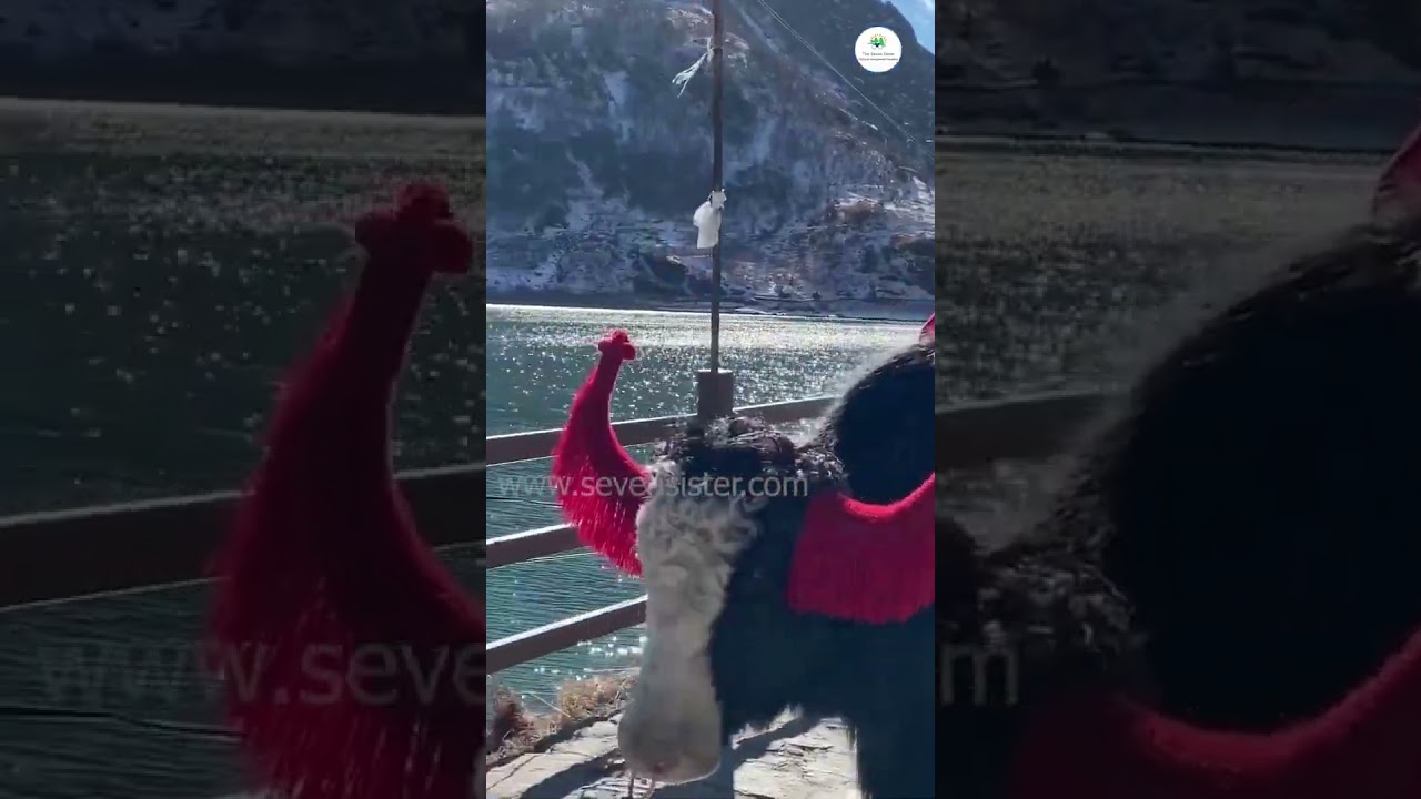 Escape to the winter wonderland of Sikkim ❄️✨