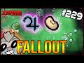 FALLOUT - The Binding Of Isaac: Repentance #229