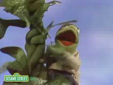 Sesame Street: Jack & The Beanstalk | Kermit News