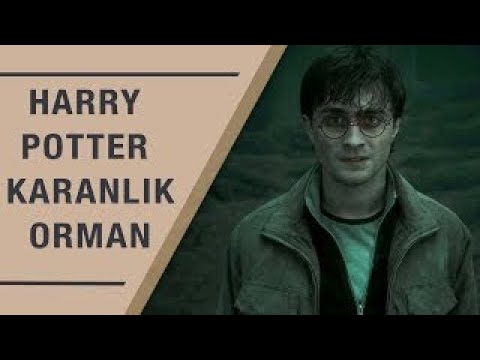 TAYFUN YILMAZ | HARRY POTTER KARANLIK ORMAN