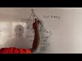 Plane Shape | Triangle 📐 Solution | Mathematics #seo