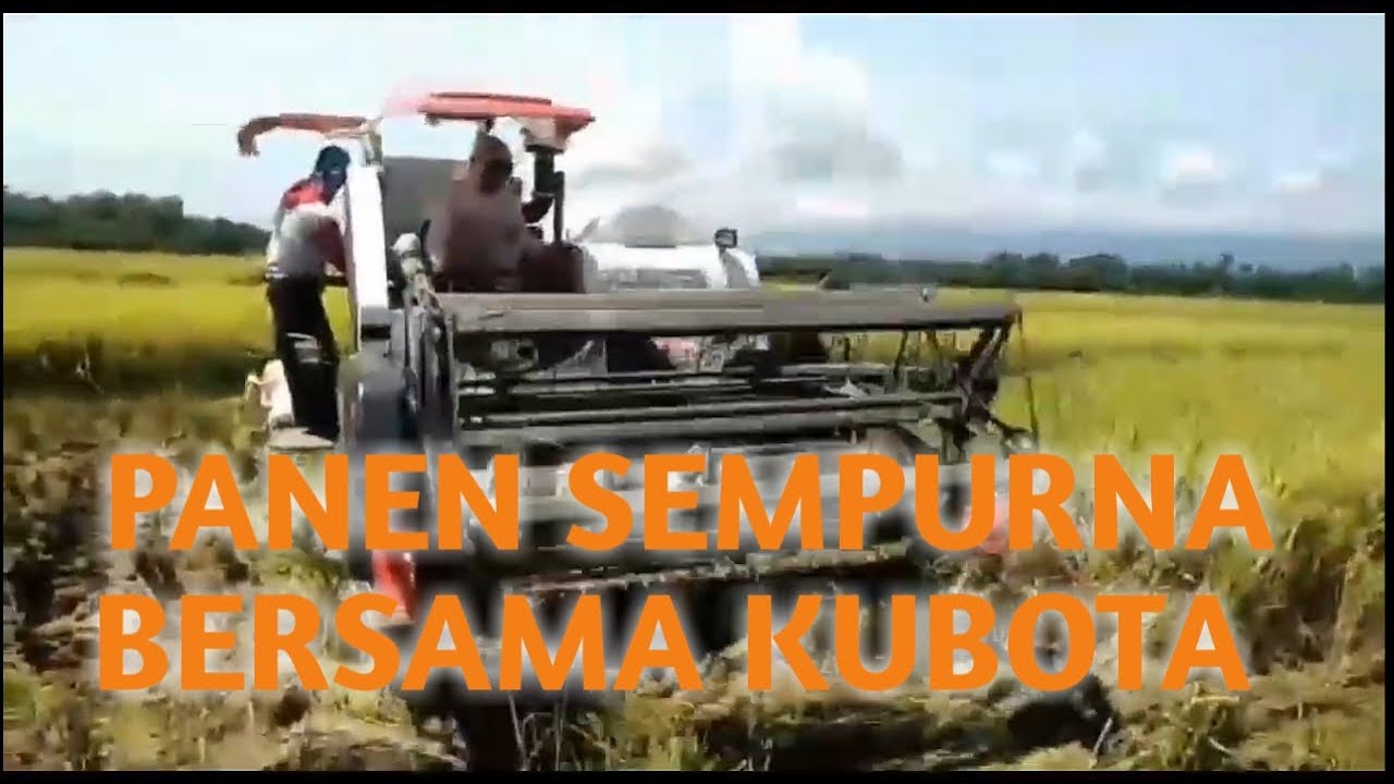 panen padi sempurna bersama kubota dc70 YouTube panen padi sempurna bersama kubota dc70 YouTube