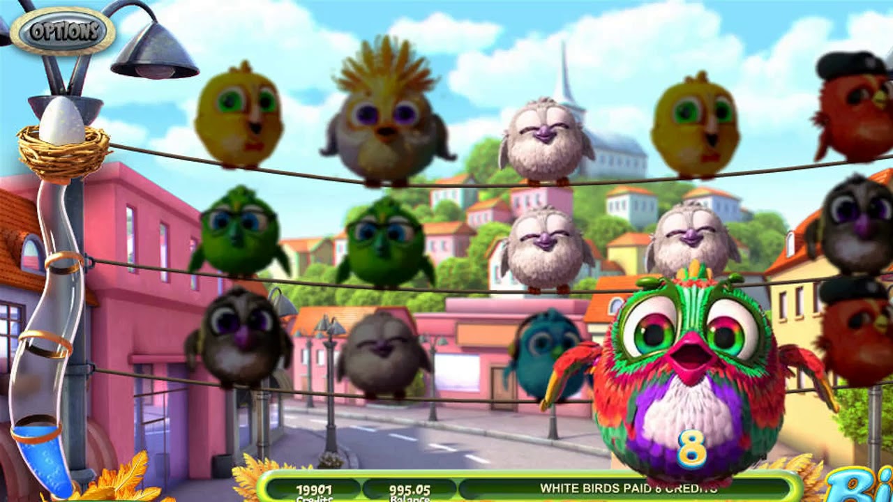 mr bet free spins