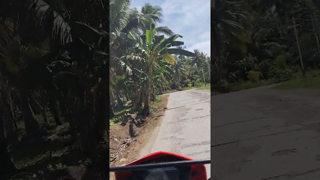 Cebuleda to townsite king king pantukan davao de Oro